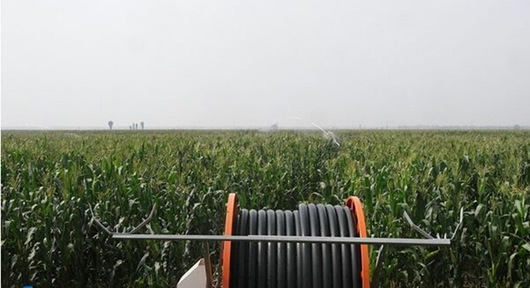科普天地玉米地的节水灌溉方法有哪些